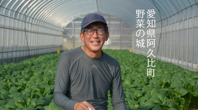 愛知県知多郡阿久比町　野菜の城