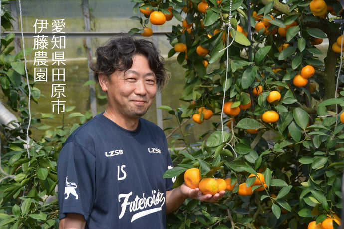 愛知県田原市　伊藤農園