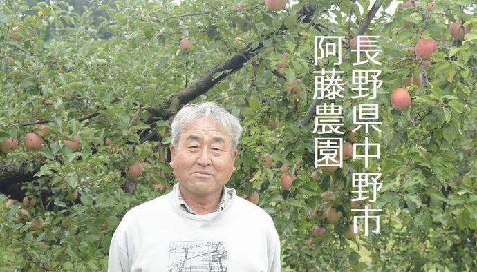長野県中野市　阿藤農園
