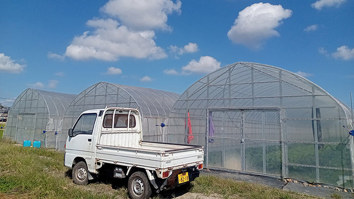 東郷町の松田さん　自己紹介